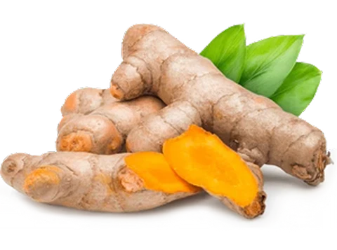 Turmeric Root